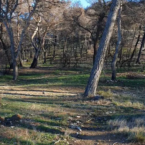 [ ENVIRONNEMENT ] Incendie de la Montagnette: L'heure du bilan...