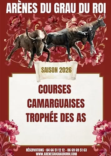 Course camarguaise : le Trophée des As entre dans sa dernière ligne...