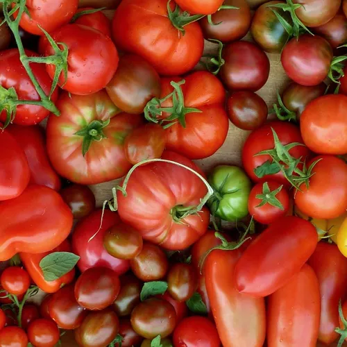 [ SOLIDARITE ] Une belle initiative dans le Vaucluse