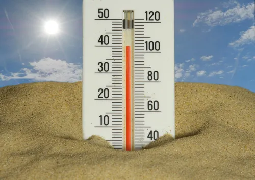 Canicule : les fortes chaleurs bousculent le quotidien et les...
