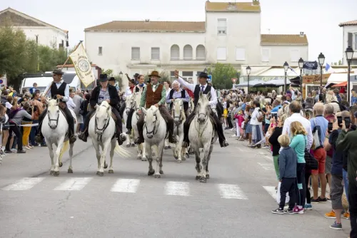 Aux Saintes-Maries-de-la-Mer, la Fête du Cheval met la Camargue à...