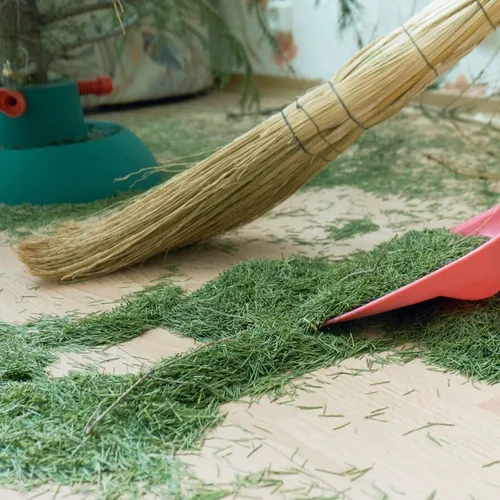 [ SOCIÉTÉ ] Le sapin commence à perdre ses épines.