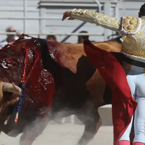 [ CULTURE/LOISIR ] 35 parlementaires signent une tribune contre la...