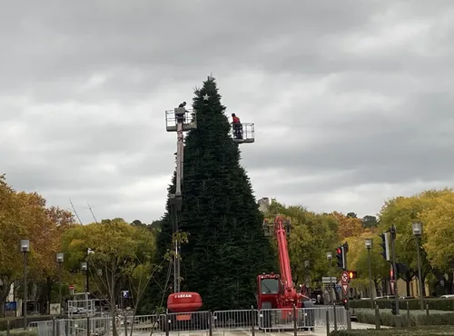 [ Société ] Installation du sapin de Noël géant à Nîmes :...