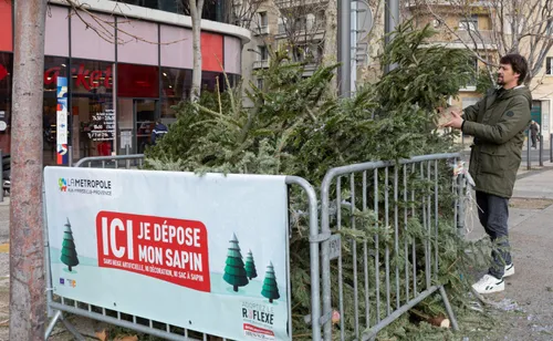 [ Ecologie ] Recyclage des sapins de Noël : une initiative...