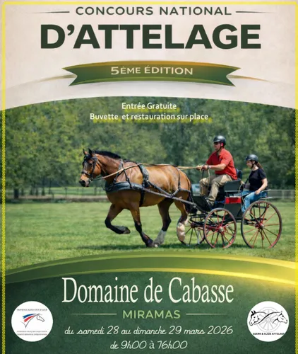 [ Evènement ] Concours d’attelage à Miramas : un week-end...