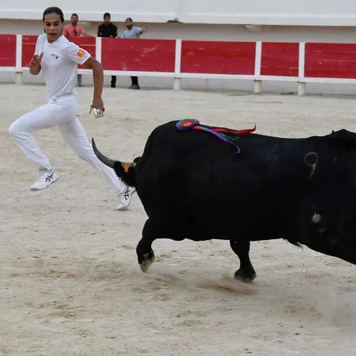 [ CULTURE - TRADITIONS ] 40 ANS DES COURSES DE TAU