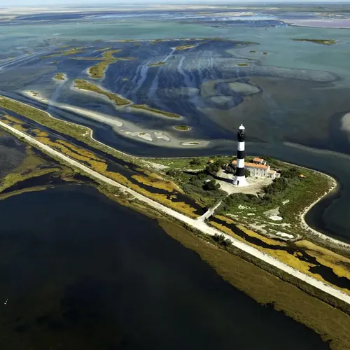 [ CLIMAT/ENVIRONNEMENT ] quel avenir pour la Camargue ?