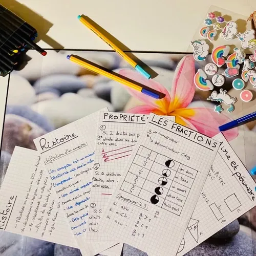 [ SOCIÉTÉ ]: C'est une nouvelle façon de réviser le bac!