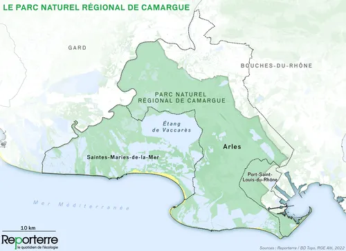 Camargue : une mobilisation inédite contre le projet de ligne à...