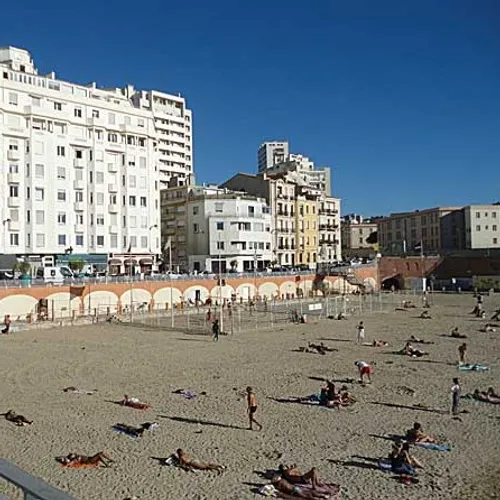 [SOCIETE] Les méduses de retour des les eaux marseillaises