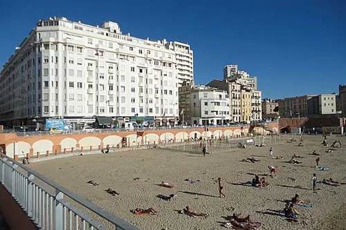 [SOCIETE] Les méduses de retour des les eaux marseillaises