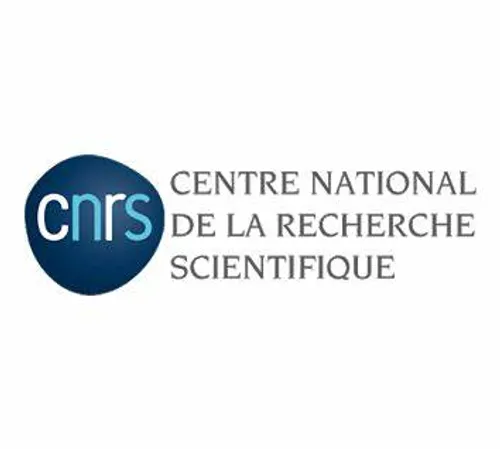 [ Sécurité ] Explosion à Marseille : Deux chercheurs du CNRS...