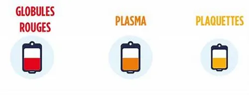 [ Santé ] 2026, l’année du don de plasma à Arles