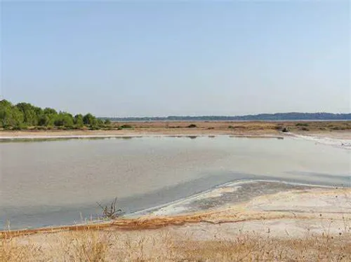 Fos-sur-Mer : Les associations écologistes déposent un recours pour...