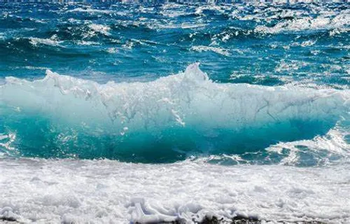 [ Découverte ] Une nouvelle espèce de requin fantôme au large de la...