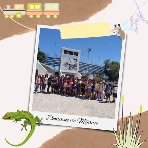 [ ÉCOLE EN BALADE ]: Domaine de Méjanes en Camargue