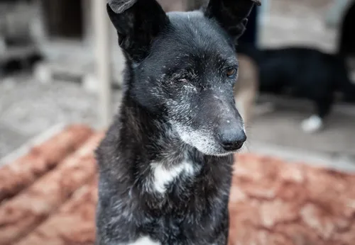 [ SANTÉ ]: L’OMS appelle à la prudence