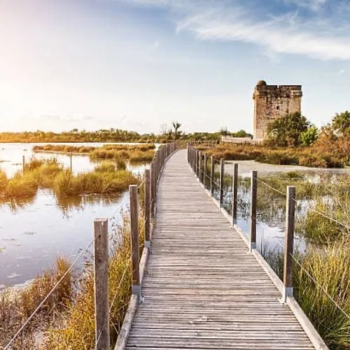 [ SOCIÉTÉ ]: Bonne nouvelle pour les hôteliers Camarguais.