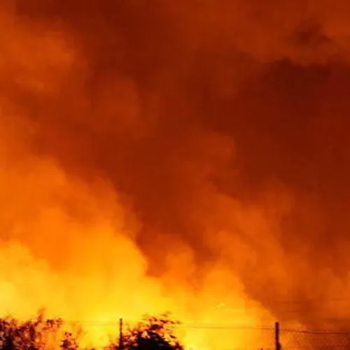 [ CLIMAT-ENVIRONNEMENT ] L'Algérie dans les flammes