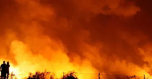 [ CLIMAT-ENVIRONNEMENT ] L'Algérie dans les flammes