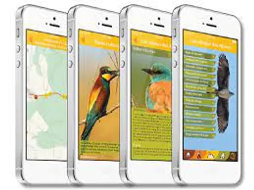 [ TOURISME ] Alpilles: Une appli pour vous signaler les lieux...