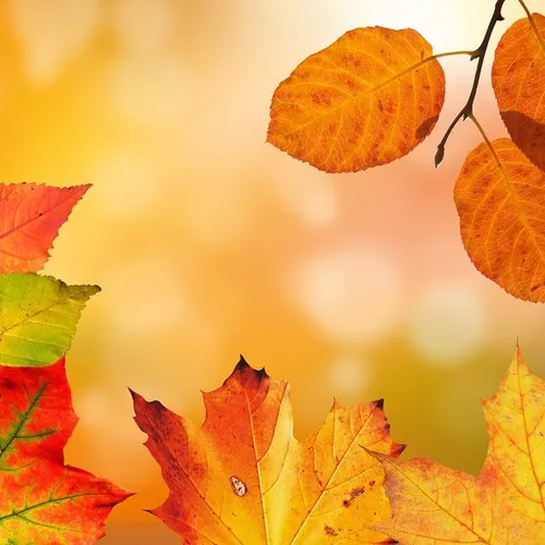 [ SOCIETE ]: A Arles, on prépare déjà les vacances d’automne