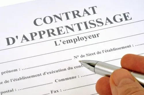 [ Education ] Apprentis sous pression : la réforme inquiète les...
