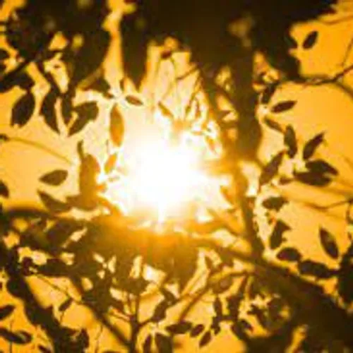 [ ENVIRONNEMENT ] Les Calanques de Marseille placées en alerte...