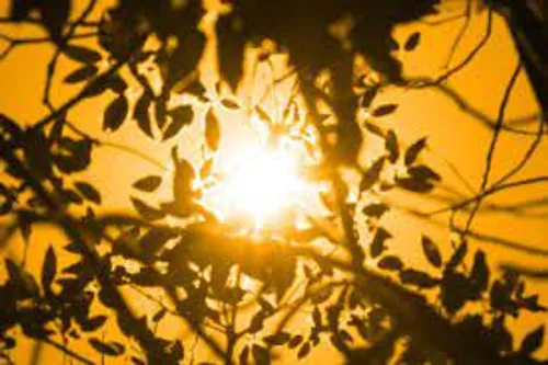 [ ENVIRONNEMENT ] Les Calanques de Marseille placées en alerte...