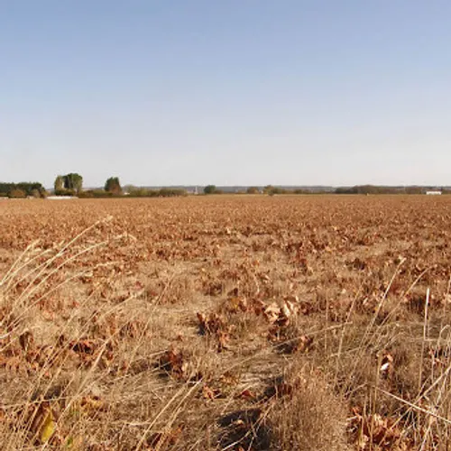 [ CLIMAT-ENVIRONNEMENT ] Rapport du GIEC : quelles conséquences...