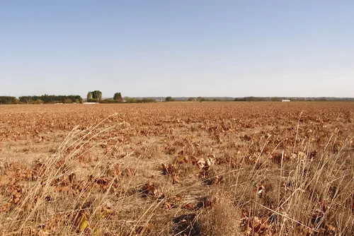 [ CLIMAT-ENVIRONNEMENT ] Rapport du GIEC : quelles conséquences...
