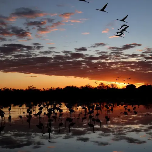 [ ENVIRONNEMENT ] Parc naturel de Camargue : la révolution attendra