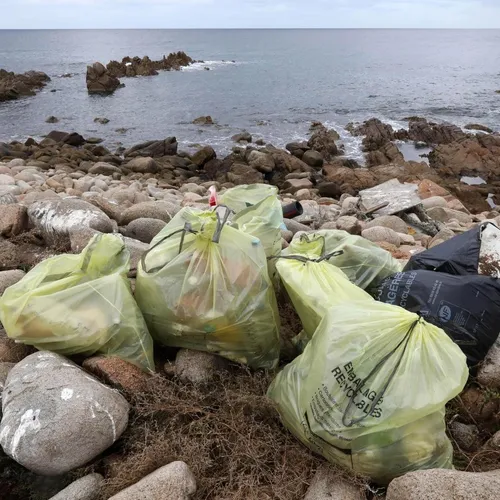 [ SOCIETE ]: Les associations se remontent les manches pour le...