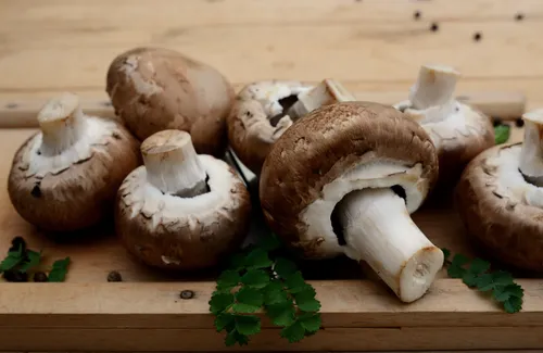 Après les pluies, la saison des champignons est-elle ouverte en...