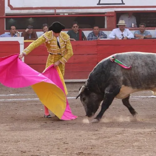 [ CULTURE/TRADITION ] Les élus du Sud apportent leur soutien à la...