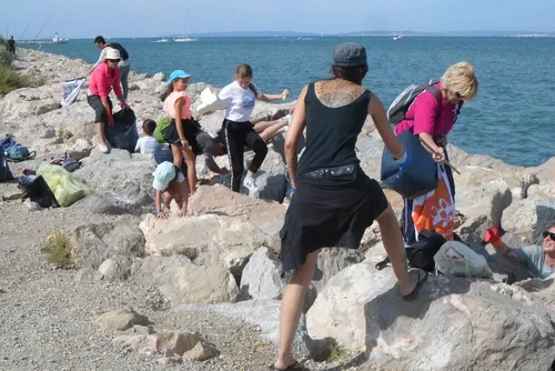 [ ECOLOGIE-ENVIRONNEMENT ] Nettoyage en Camargue