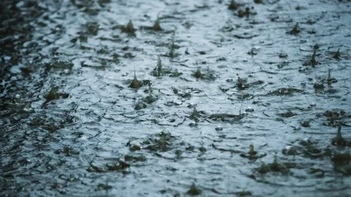 Pluies intenses en Camargue : pourquoi la vigilance doit monter...
