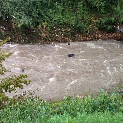 [ ENVIRONNEMENT ]: L'indignation des associations environnementales...