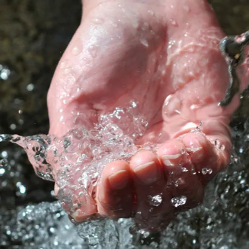 [ ECONOMIE/ECOLOGIE ] Le plan "OR BLEU" validé par la Région Sud PACA