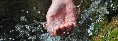 [ ECONOMIE/ECOLOGIE ] Le plan "OR BLEU" validé par la Région Sud PACA