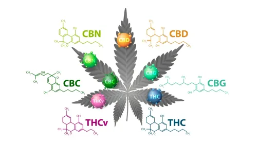 Cannabinoïdes de synthèse : ces produits vendus comme alternatives...
