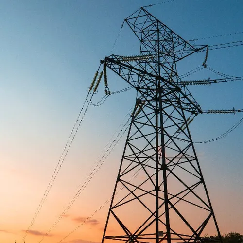 [ ECONOMIE ] Les camarguais devraient éviter la coupure de courant...