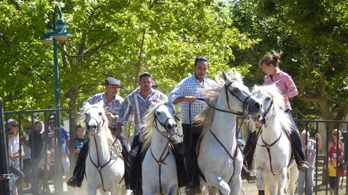 [ CULTURE - ST GILLES ] LA DATE DE LA FERIA DE LA PECHE ET DE...