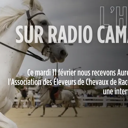 CAMAGRI 2025 : Le Salon du Cheval Camargue au Mas de la Cure