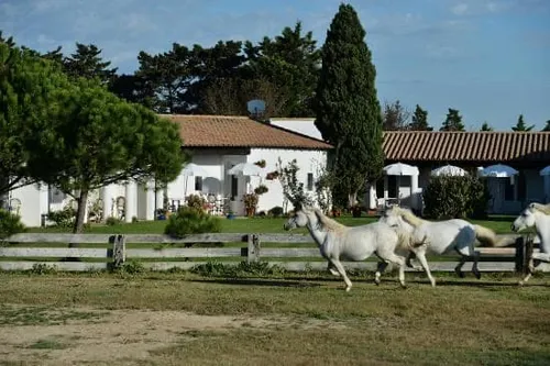 [ SOCIÉTÉ ]: Les températures sont douces en ce début d'année