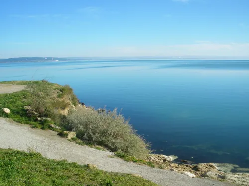 [ Société ] Baignade interdite dans l’étang de Berre après un...