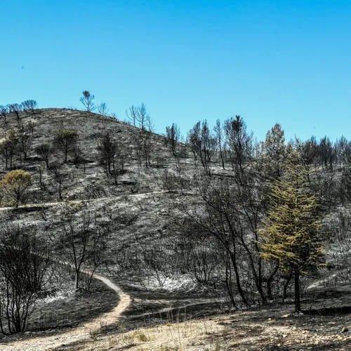 [ JUSTICE ] Incendie Montagnette: Le maire de Barbentane,...