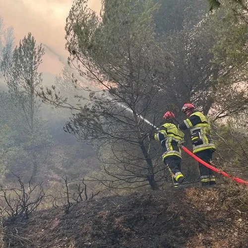 [ ALERTE INFO/ENVIRONNEMENT ] Un wagon de train en cause dans...