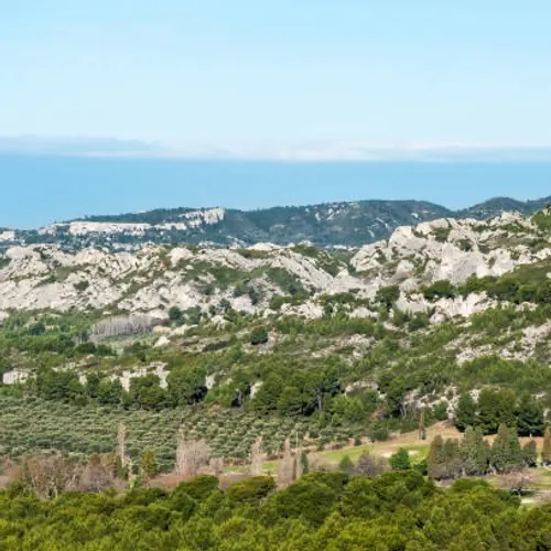 [ SOCIÉTÉ / CULTURE ]: Il était une fois les Alpilles